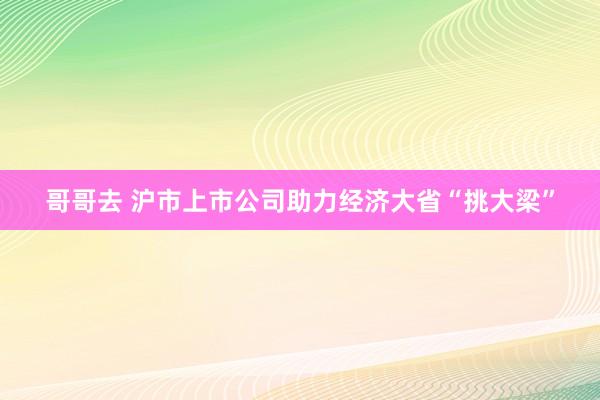 哥哥去 沪市上市公司助力经济大省“挑大梁”